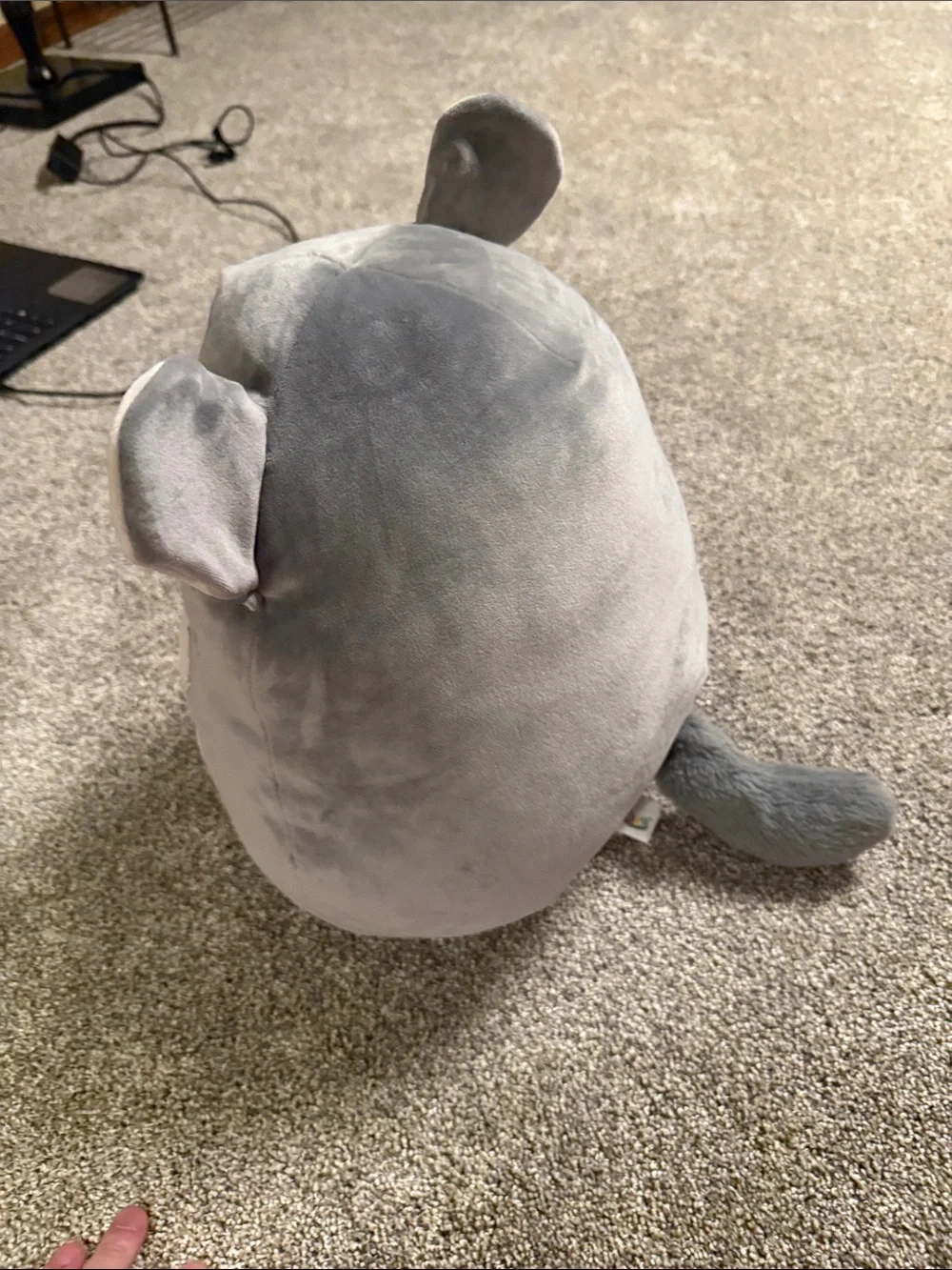 Gray/white Squishmallow mouse - smoke free home and no marks, tips, stains